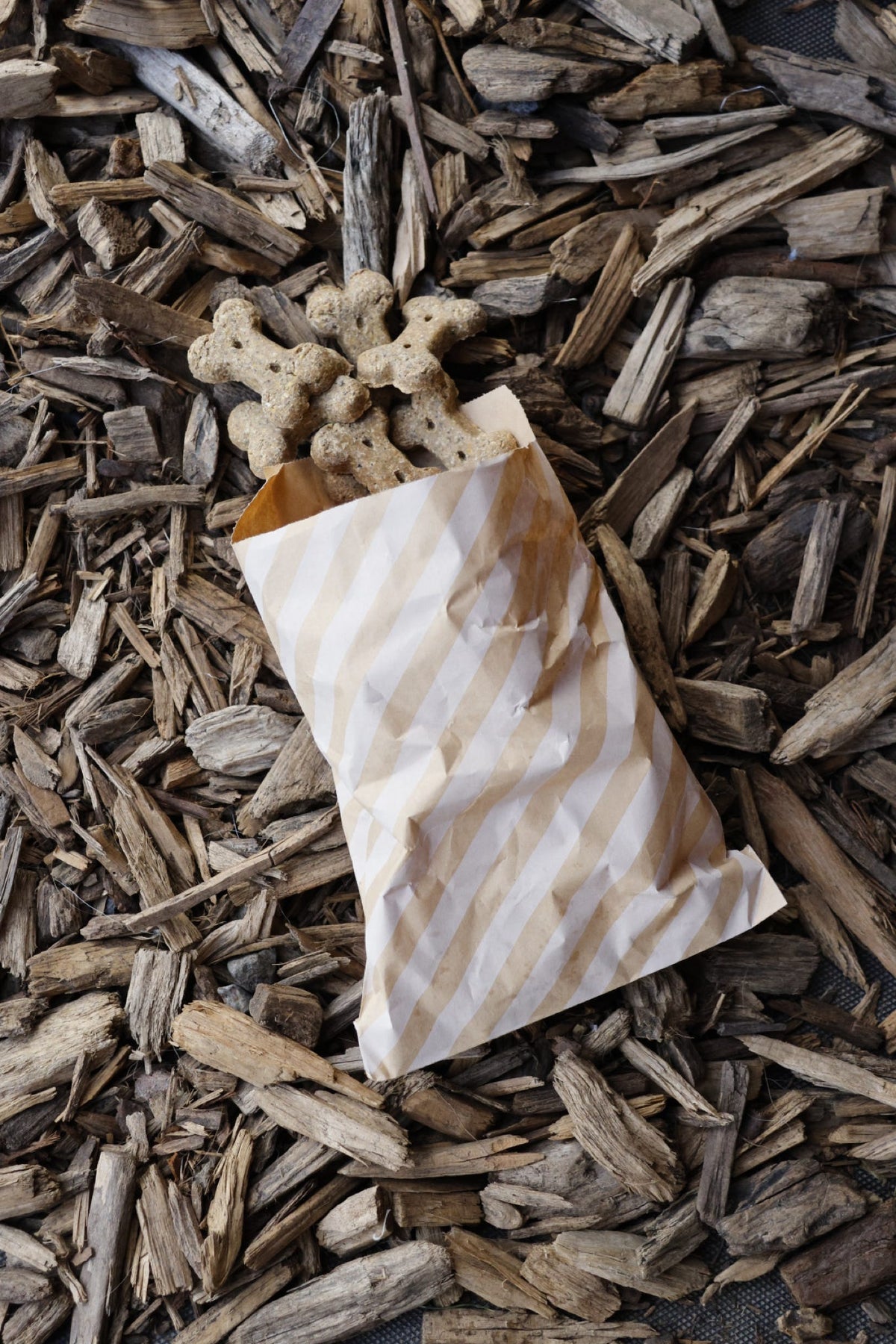 Banana, apple and blueberry bone-shaped dog treats in a striped paper bag on wood chips.