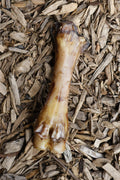 Natural beef foot bone dog chew displayed on a bed of wood chips.