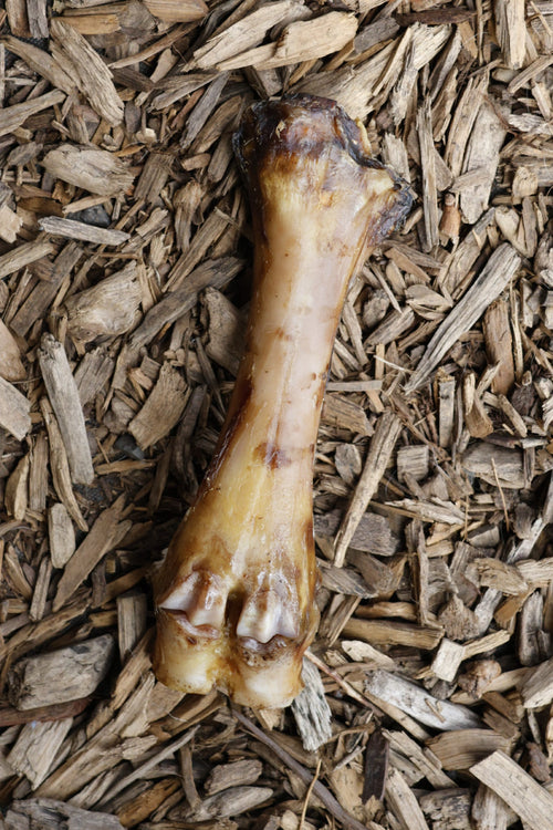 Natural beef foot bone dog chew displayed on a bed of wood chips.