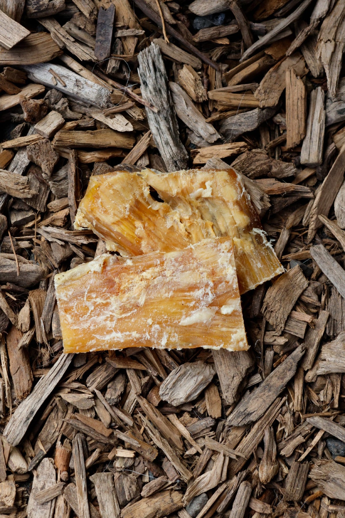 Beef Paddywack dog chew treats on natural wood chips