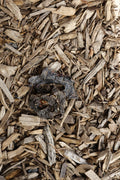 Dried beef heart slices on a bed of natural wood chips.