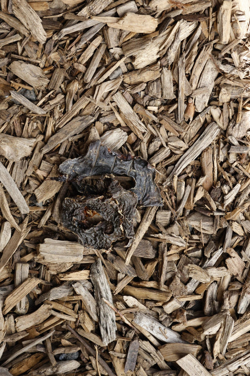 Dried beef heart slices on a bed of natural wood chips.
