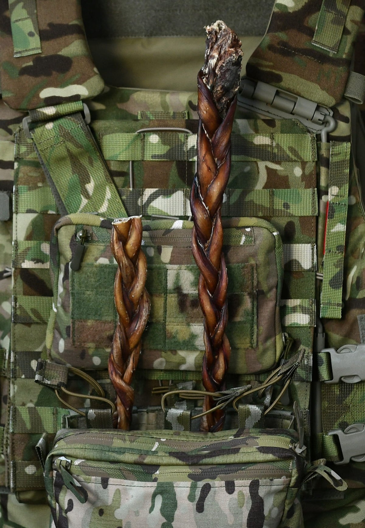 Braided bully pizzle dog chews displayed in medium and jumbo sizes on a camouflage tactical vest.