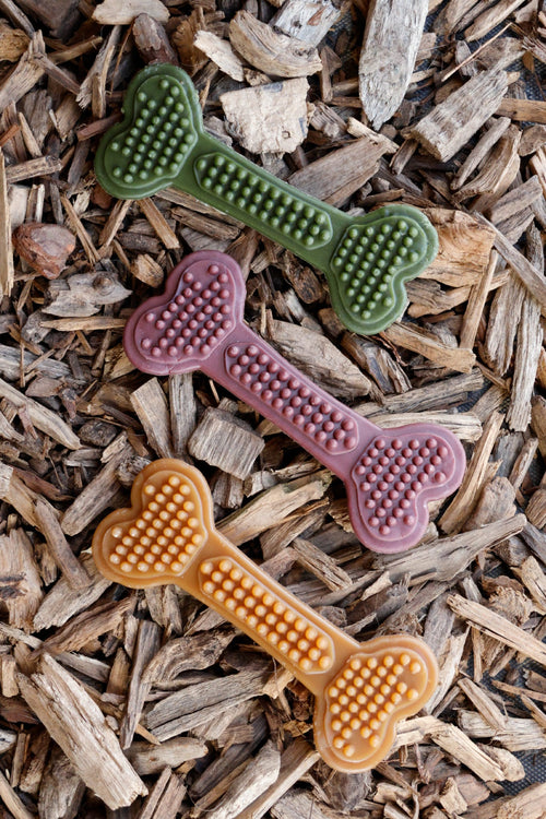 Peanut butter, berry and spirulina BumpiBone dog treats on natural wood chips