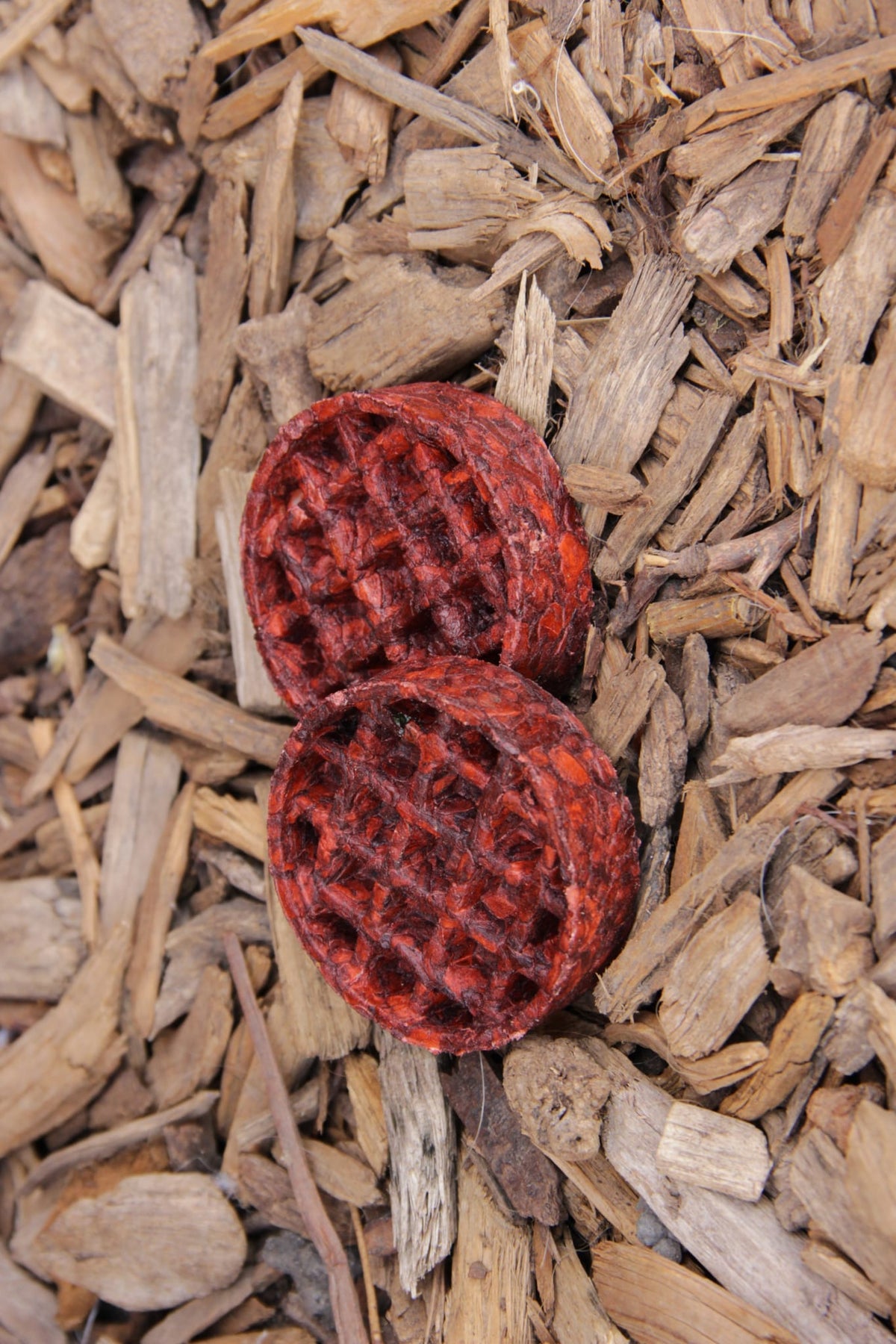 Two red camel collagen waffles with a textured waffle pattern, lying on a bed of natural wood chips.