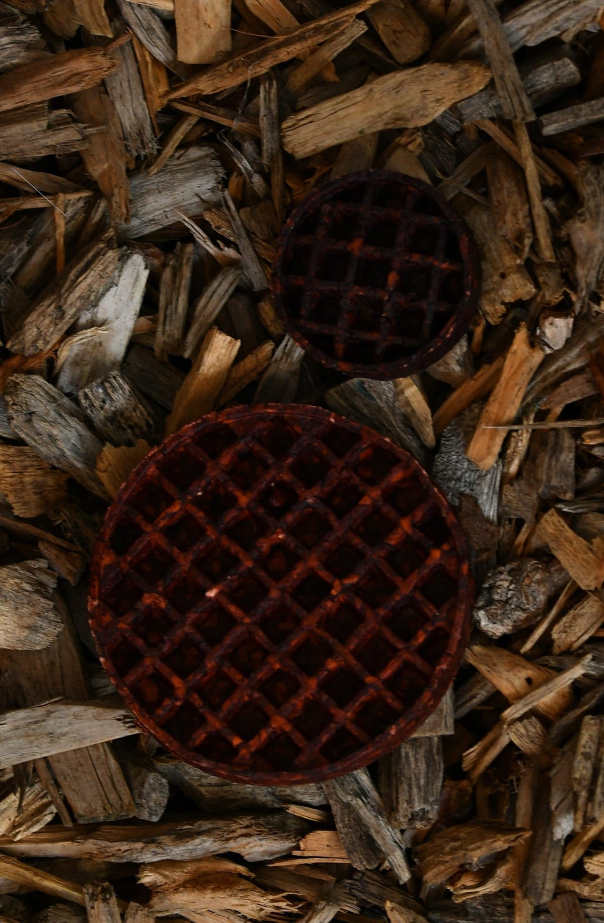Two camel collagen waffles in different sizes, one larger and one smaller, shown on a natural wood-chip background.