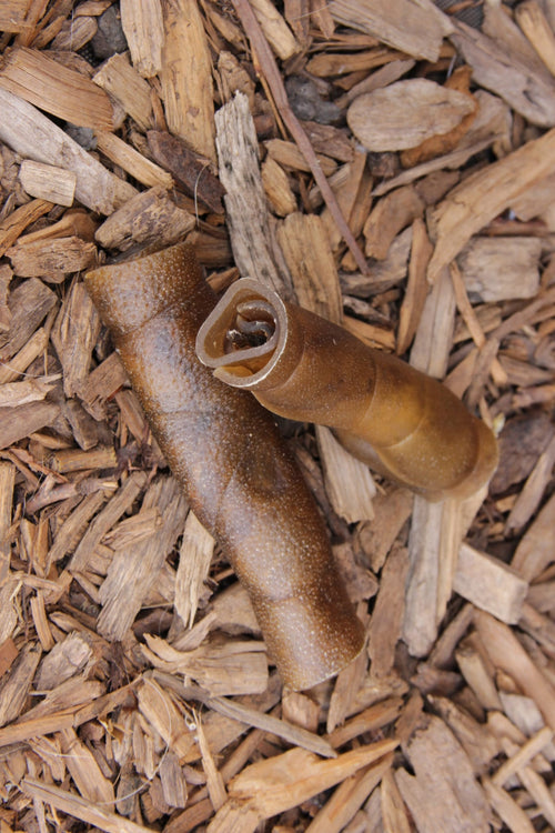 Two natural camel skin rolls with a textured surface, lying on a bed of rustic wood chips.
