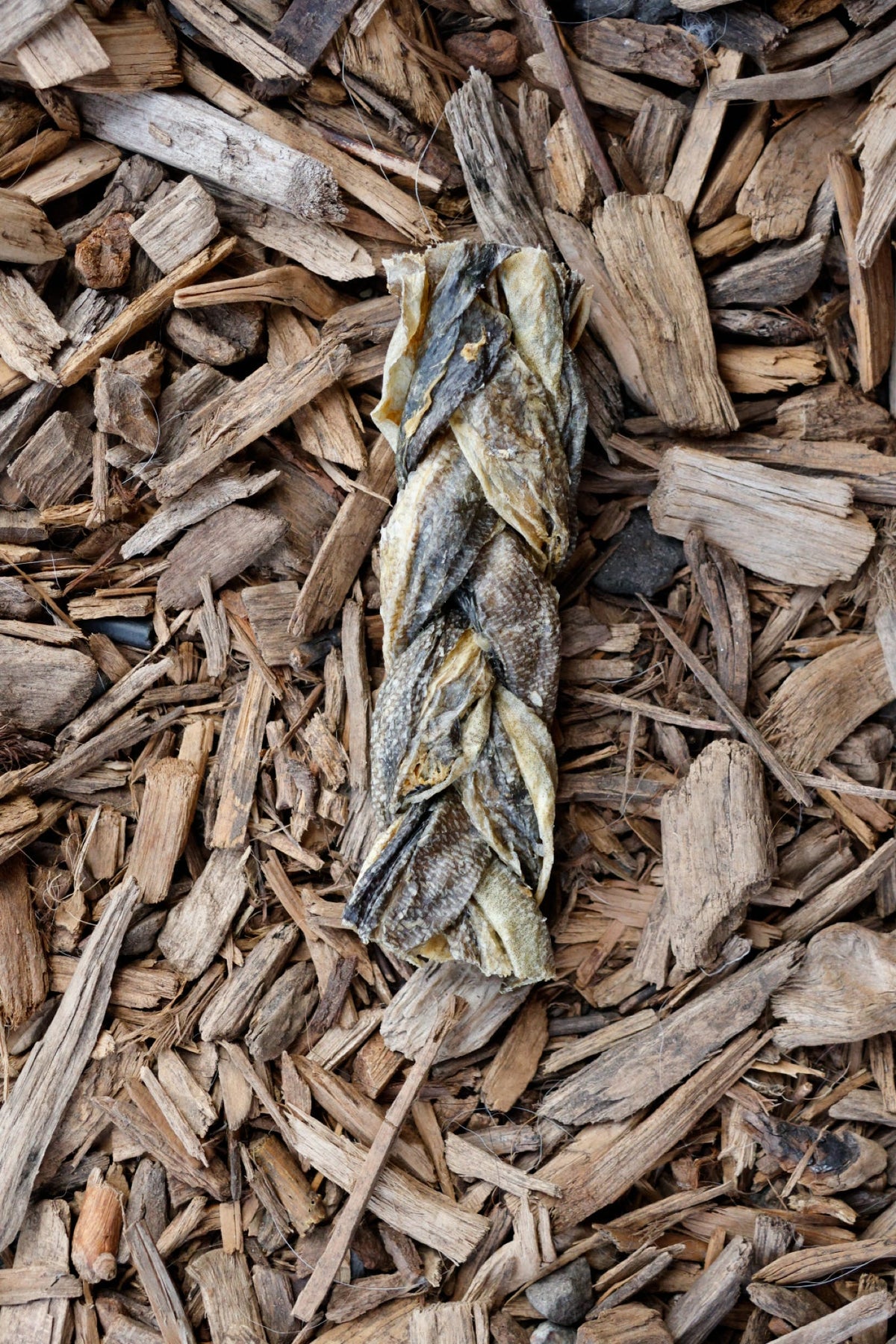 Cod braid fish dog chew treat on natural wood chips