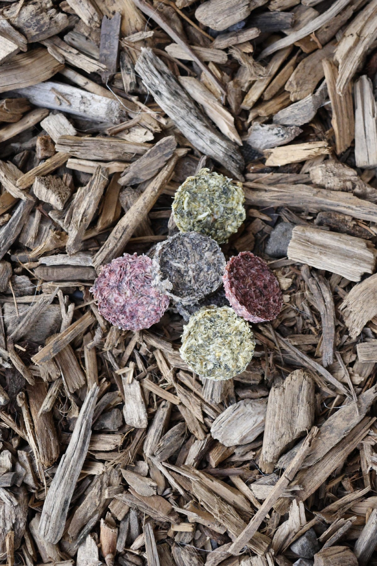 Four round cod coins in green, pink, grey and purple tones arranged on a bed of wood chips.