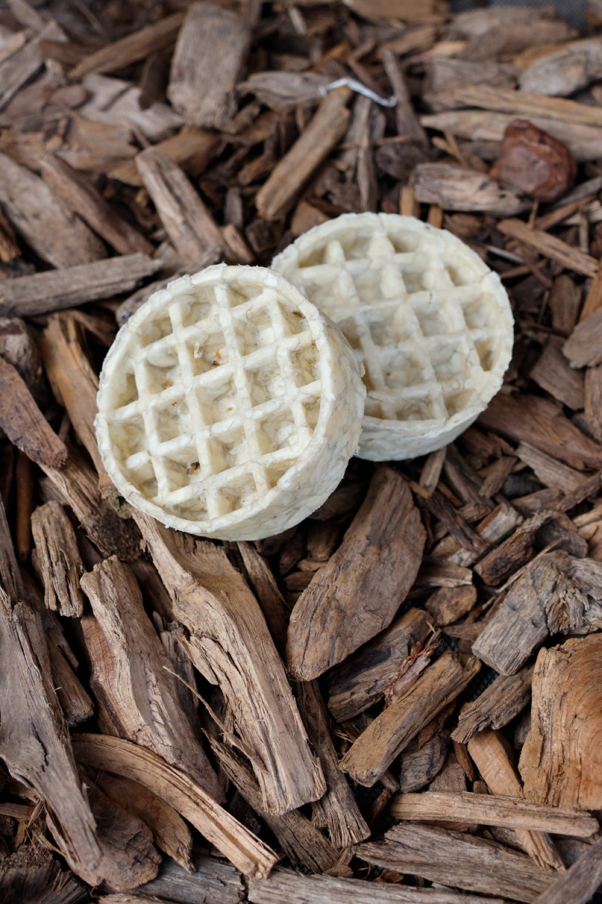 Two round, off-white collagen waffles with a textured grid pattern resting on a bed of wood chips.