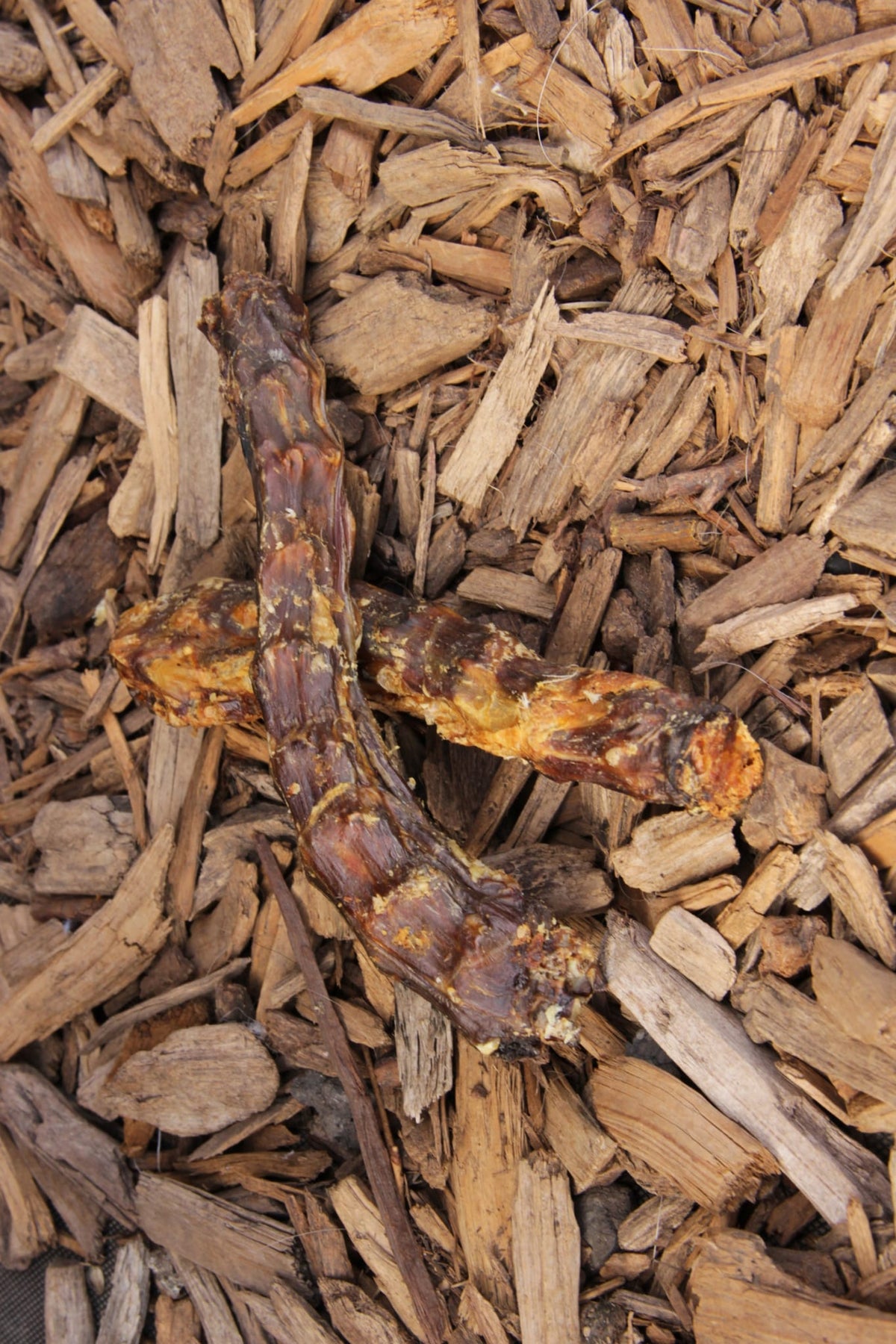 Dried duck neck dog chews displayed on a bed of wood chips.