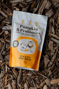 Hackney Dog House Pumpkin & Probiotics dog treat pouch, showing white and orange packaging with a cartoon dog illustration, placed on wood chips.