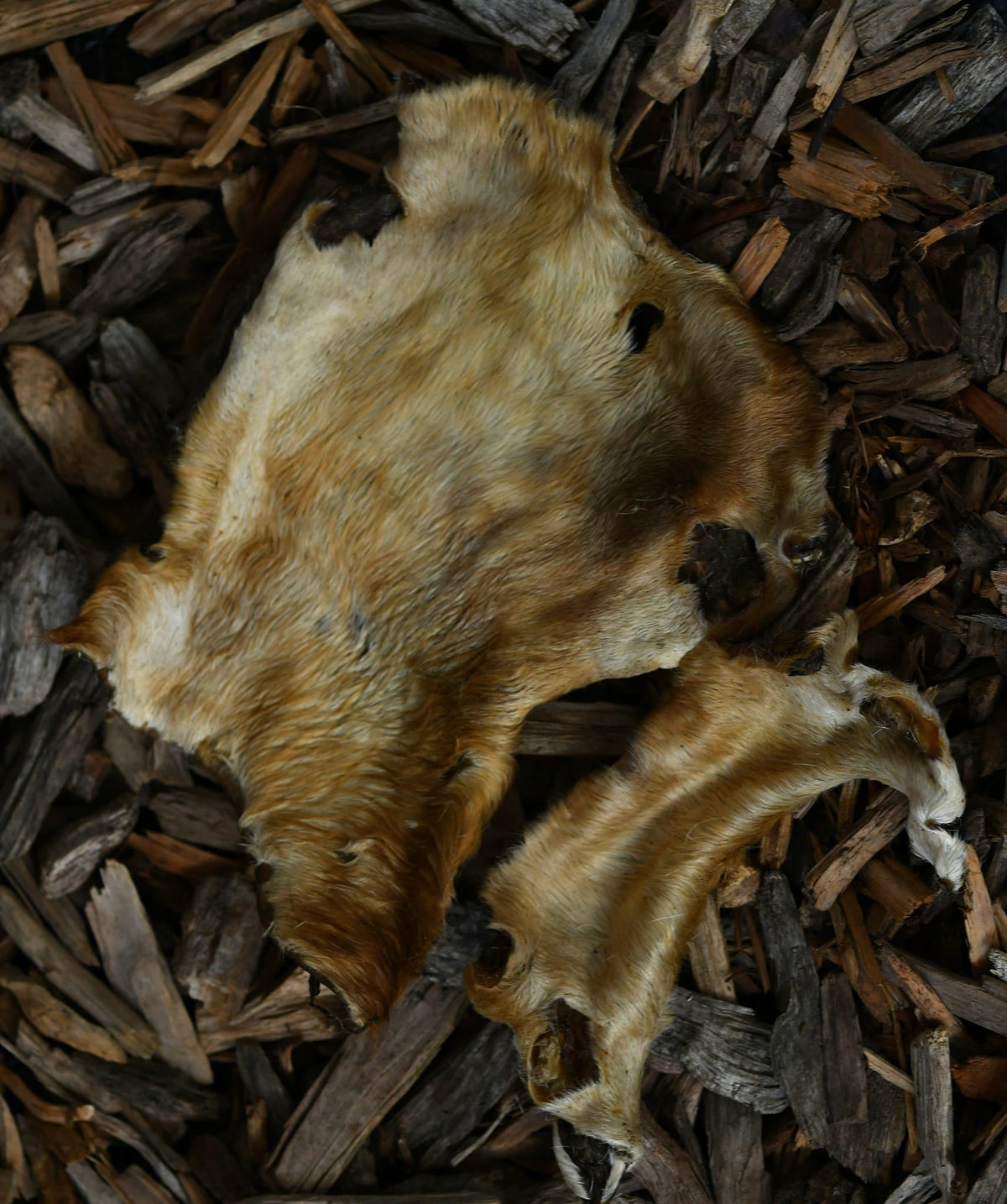 Natural hairy beef skin dog chew displayed on a bed of dark wood chips.