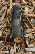 Hairy jumbo buffalo roll dog chew treat on natural wood chips