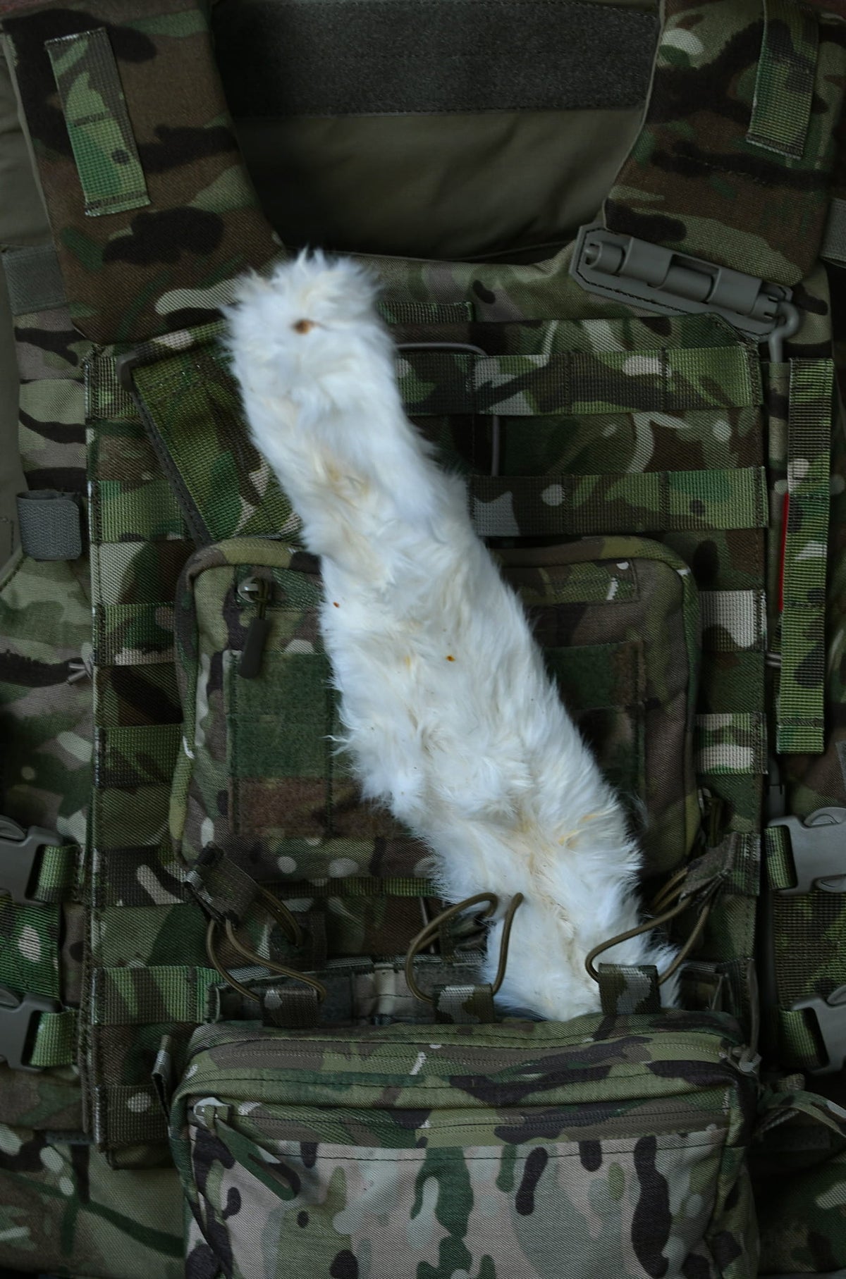 A long, white hairy rabbit skin chew displayed on a camouflage tactical vest