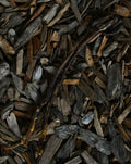 A long lamb pizzle resting on wood chips and bark pieces.
