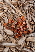 Meat and fish swirls dog treats on natural wood chips