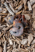 Dried pig snout chew on a bed of natural wood chips.
