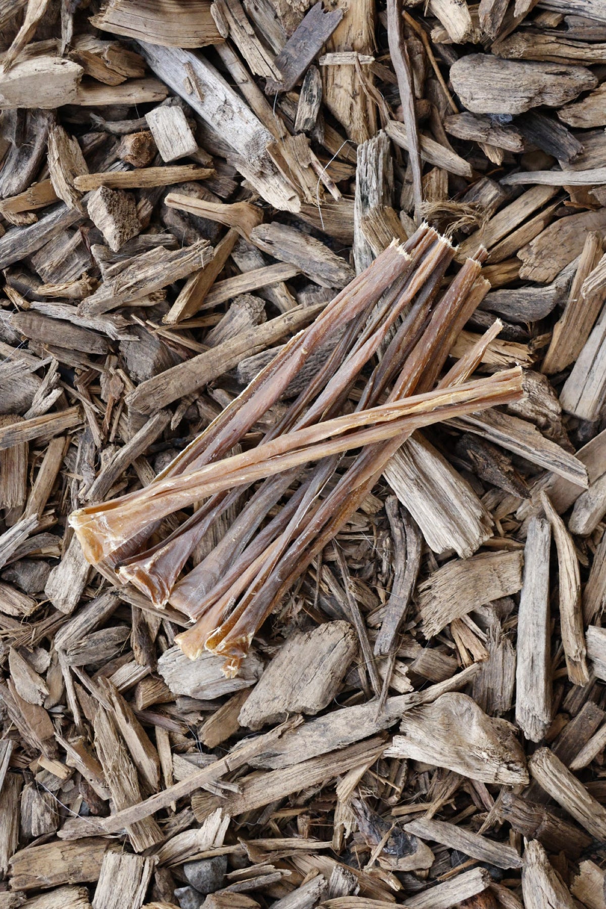Pork spaghetti dog chew treats on natural wood chips