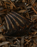 Dried roe deer ribs dog chew, showing a natural rib section with multiple ribs and a dark brown surface, placed on wood chips.