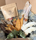 A dog treat box filled with various dog treats, including dried fish, chews, a green crocodile chew, and a brown pouch of treats labeled 'The Hound Mess'.