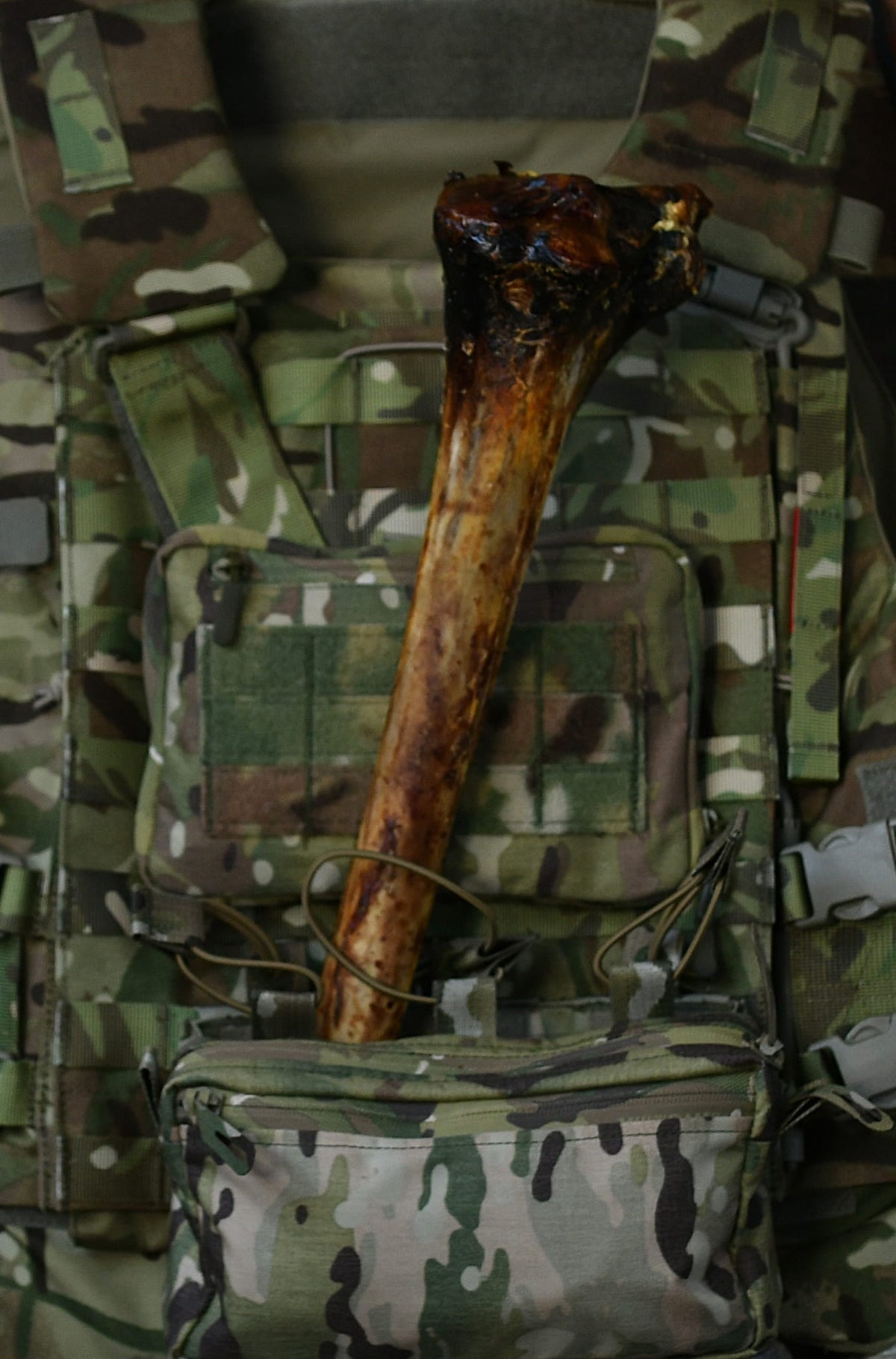 XL ostrich metatarsus bone chew displayed vertically against a camouflage tactical vest.