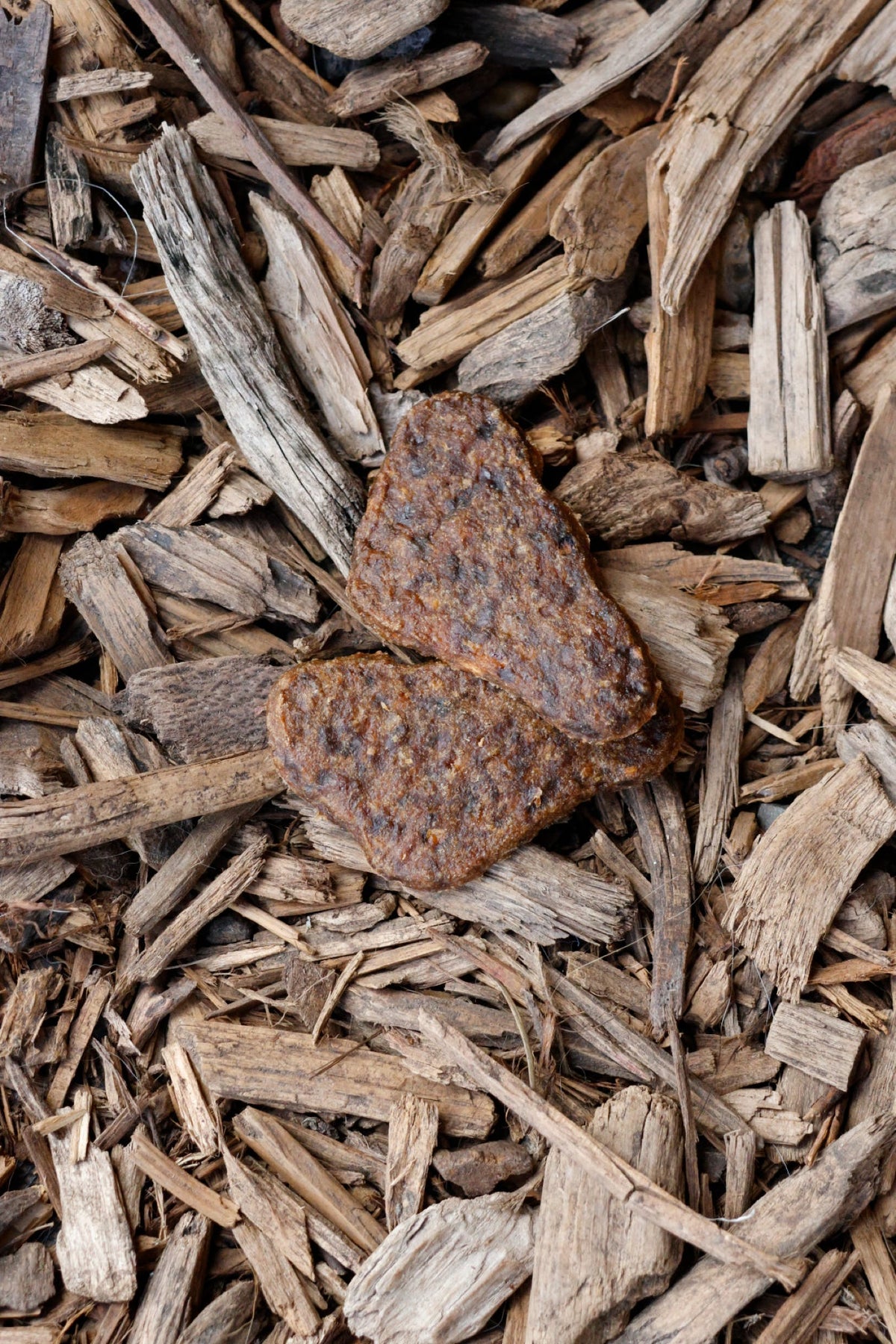 Beef and shrimp steak dog treats on natural wood chips