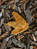 Chicken jerky dog treat pieces displayed on a natural wood-chip background.