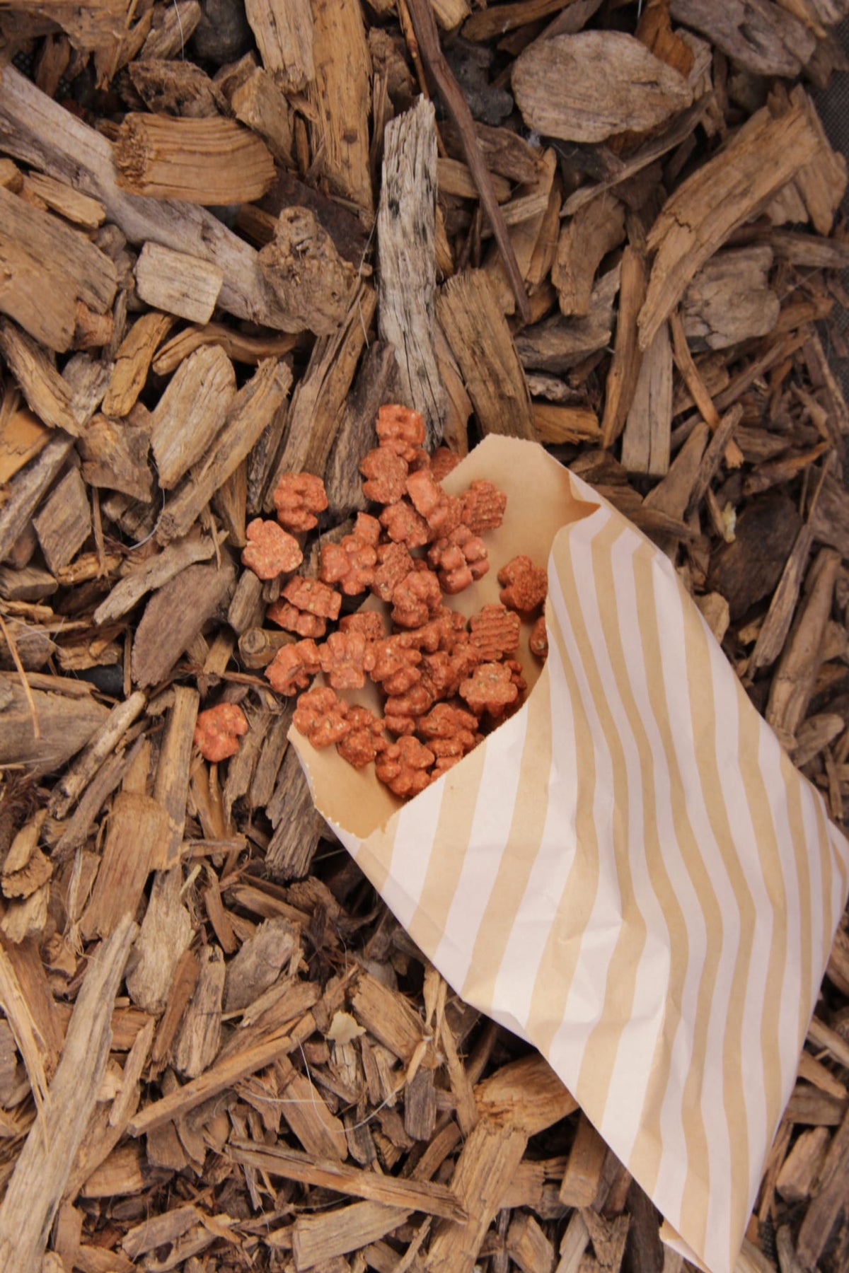 A small paper bag with beige and white stripes lies on a bed of wood chips, spilling salmon and dill paw shaped treats onto the wood chip.