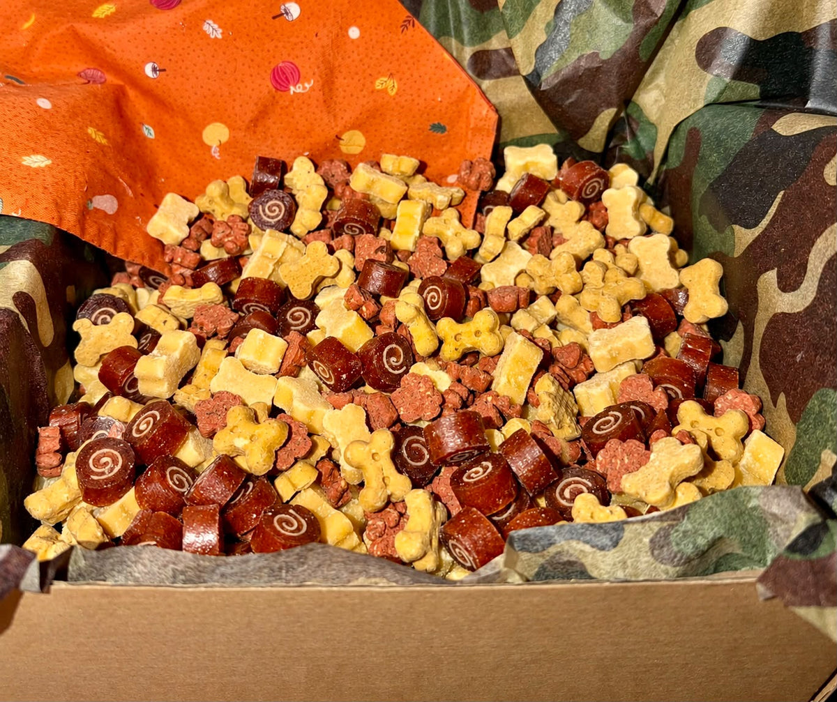A close-up of assorted dog treats piled in a box, including yellow bone-shaped pieces, reddish-brown circular pieces with spiral markings, and orange pieces, with camouflage tissue paper lining the box.